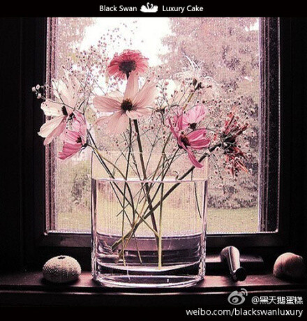 爱情就像银行里存一笔钱，能欣赏对方的优点，就像补充收入；容忍对方缺点，这是节制支出。所谓永恒的爱，是从红颜爱到白发，从花开爱到花残——(英)培根。我愿和你从红颜到白发，从花开到花残，一直生死相随。