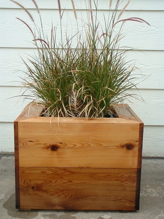 Cedar Planter Set by thisisnotasquare on Etsy Cedar Planter Set 雪松木盆栽