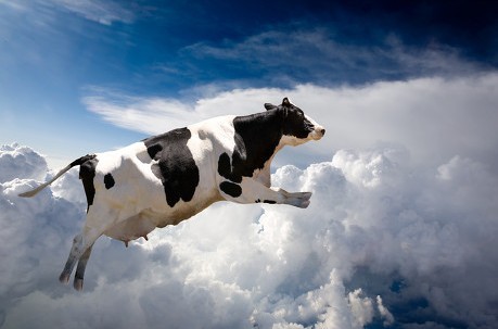 Moo×梦