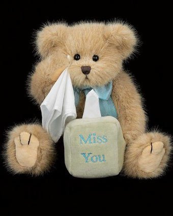 Bearington Bear 25.5厘米 MISS YOU 泰迪熊，正品的才是收藏佳品啊！小时候的梦