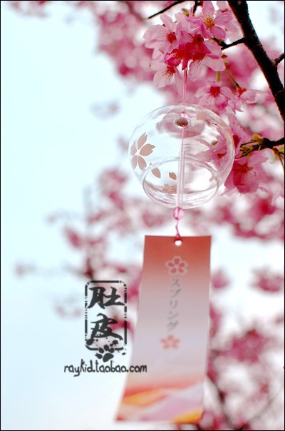 日式风铃-樱花谣和风车挂