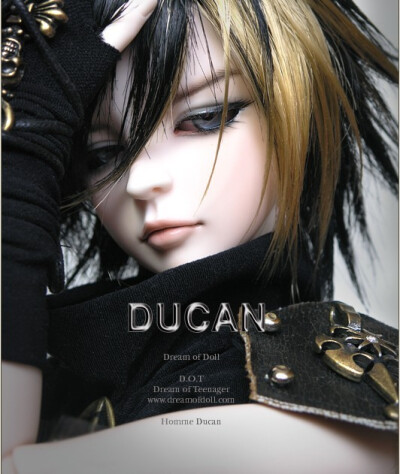 Homme Ducan