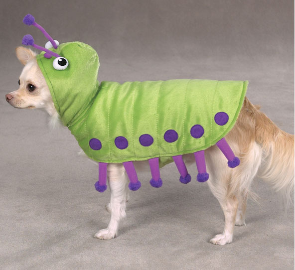 Caterpillar Dog Costume 绿色毛毛虫上身