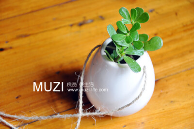 Muzi° Zakka 陶瓷鸡蛋吊瓶 迷你小花瓶 日式麻绳挂瓶