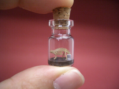 “Brontosaurus is in a tiny bottle” By tinyworldinabottle.