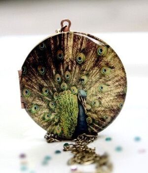 孔雀图样的怀表 Bird Locket Peacock by MStevensonDesigns