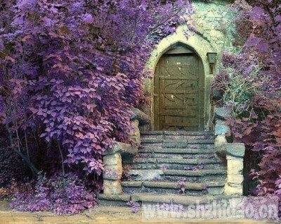 {。桃颜}有故事的门