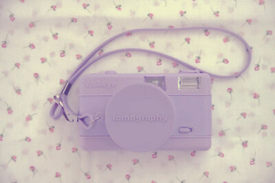 {。桃颜}紫色的lomo