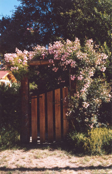 花园木门