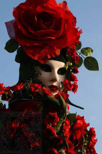 威尼斯面具 Red Rose at venice carnival