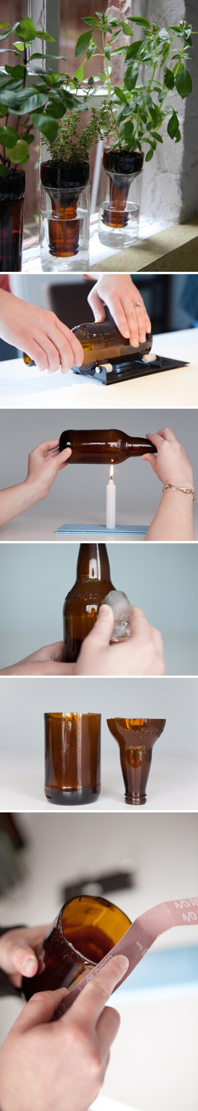 用啤酒瓶改造成造型花瓶，小孩子切勿模仿。