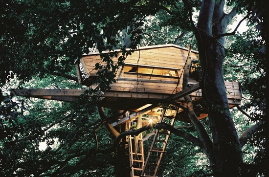 Tree house