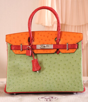 BIRKIN 铂金包 30 章子怡同款 拼色鸵鸟包··~~