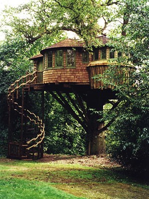 Tree house