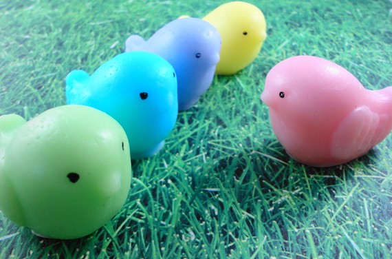 可爱的小虎皮鹦鹉：小鸟的队伍