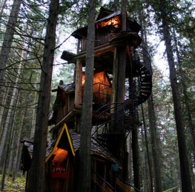 Tree house