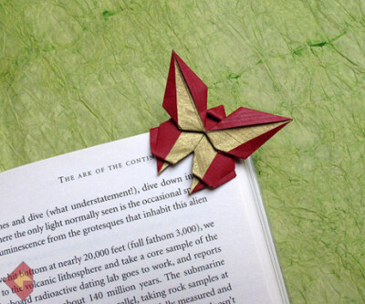 蝴蝶的书签，居然是折纸做的。。。好漂亮。。但是学起来也好难。。