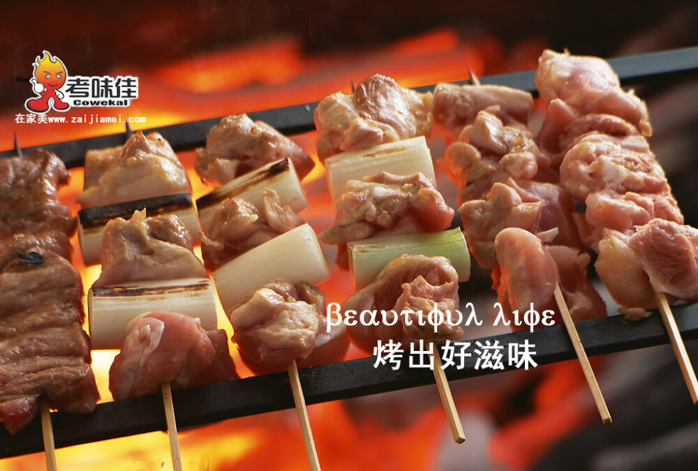 BBQ 考味佳不锈钢烧烤炉 户外烧烤炉 聚会烧烤炉 8803 - 在家美