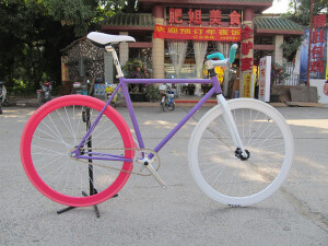 Fixed Gear  紫红  这配色！