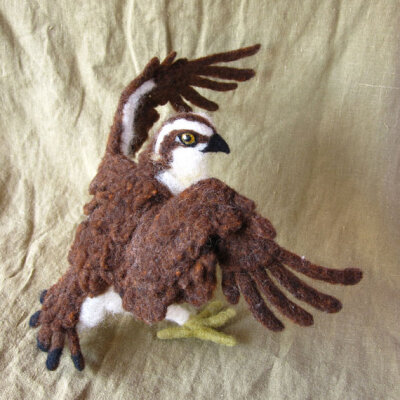 Needle Felted OSPREY by Ainigmati on Etsy Needle Felted OSPREY 毛毡老鹰