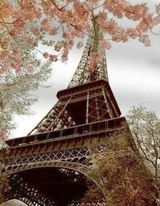 Paris Tower