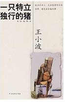 在王小波作品的众多版本里，本书首次将王小波的序言与跋语整合收录，同时收录一些轻松的随笔。同时，由插画家田瑛全新演绎11幅妙趣横生的黑白漫画，与王小波的智慧文字相得益彰。