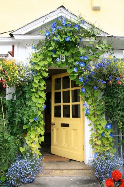 牵牛花小屋