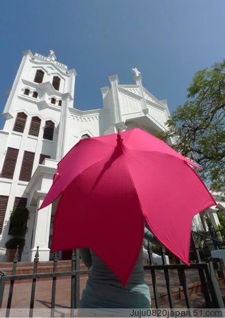 单反穷一生，雨伞穷一世啊……日本樱花伞，京の伞