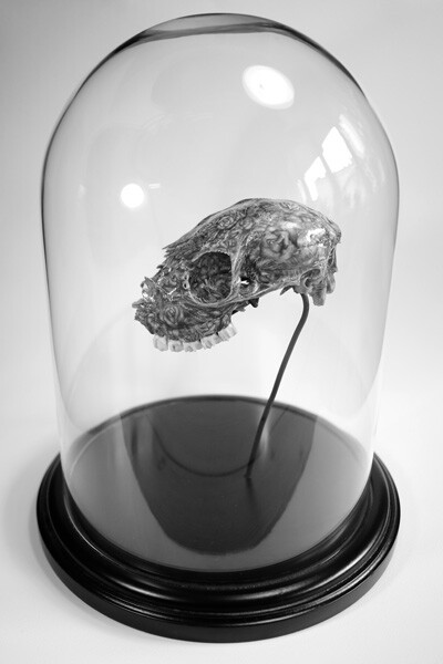 Fancy - Botanic Skull #1 Jacob Dahlstrup Jensen