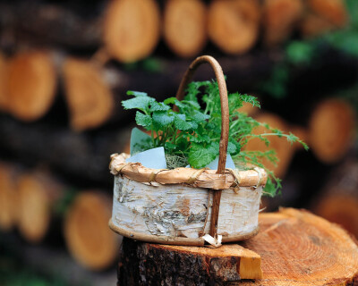 花器之天然材质 原木树皮制做的手工提篮，天然拙朴，和绿植是完美的搭档