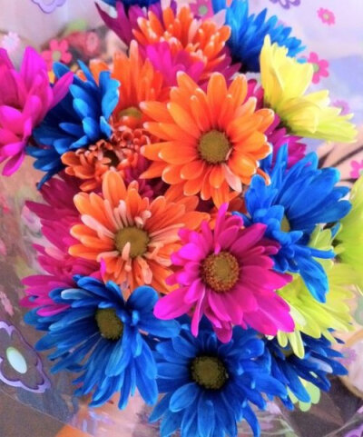 Profile Pictures on we heart it / visual bookmark #13462356 262020_10150253966465238_505015237_7373734_8244110_n_large