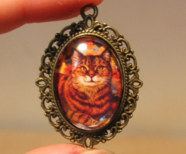 我好喜欢这只猫。。