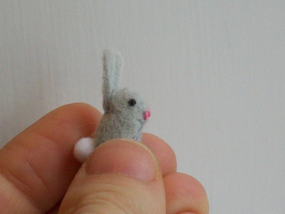 Tiny Grey Bunny