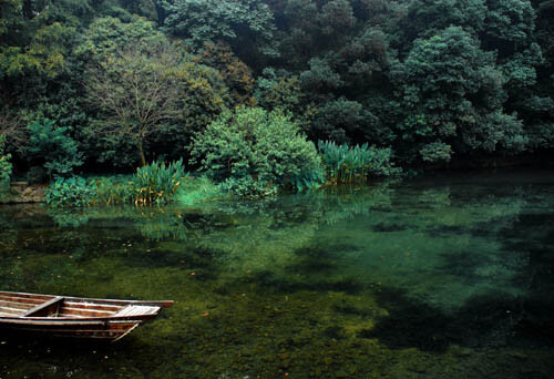 鸠息