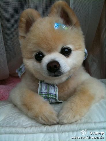 cute~~