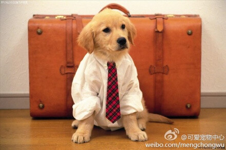 老婆。。我去上班啦。。