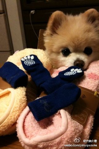 我建议选这个！！