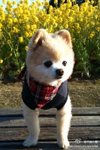 天气真好~~