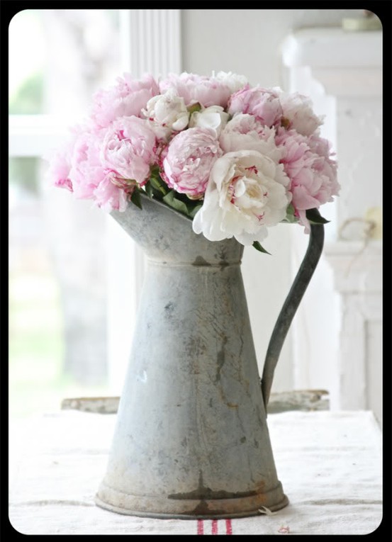 Pinks in tin pitcher<a class='shortlnk' href='/s/067b0d12016af327d' target='_blank' title='http://theoldpaintedcottage.com/pages/cotm-feb-11.htm'>http://duitang.com/s/067b0d12016af327d</a>