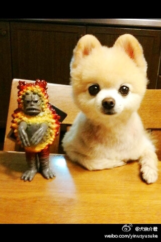 在思考什么呢~~