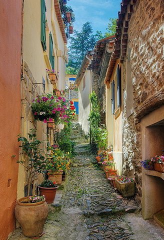  Provence one street Provence one street