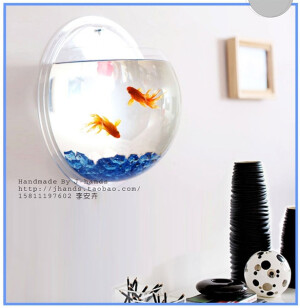 鱼缸萌死了好嘛！！