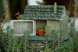 栗子头的相册-Miniature Gardens
