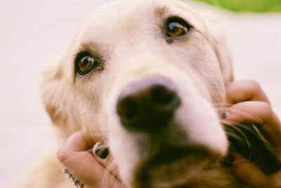 【雨天/季伶】睁眼看世界。