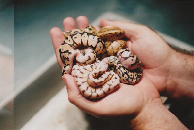 【雨天/季伶】你会害怕它么。