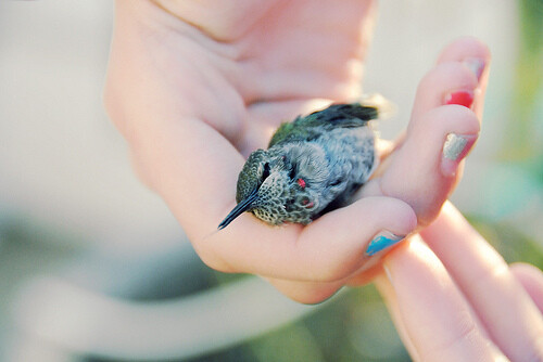 【雨天/季伶】希望你不要死。