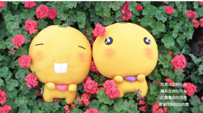 Diy 公仔礼物情侣小熊 堆糖 美图壁纸兴趣社区