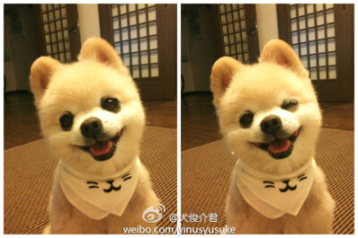 你是在眨眼么~~