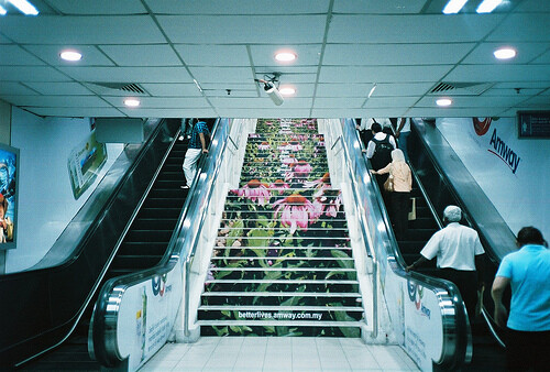 Tumblr