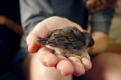 【雨天/季伶】看着他们相处的如此融洽，或许你也会有一些感动吧。